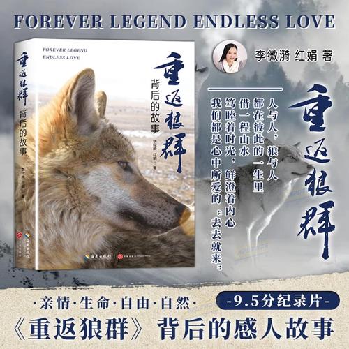 日本男人天堂久久的相关介绍