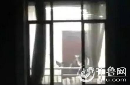 av黑丝久久的相关介绍