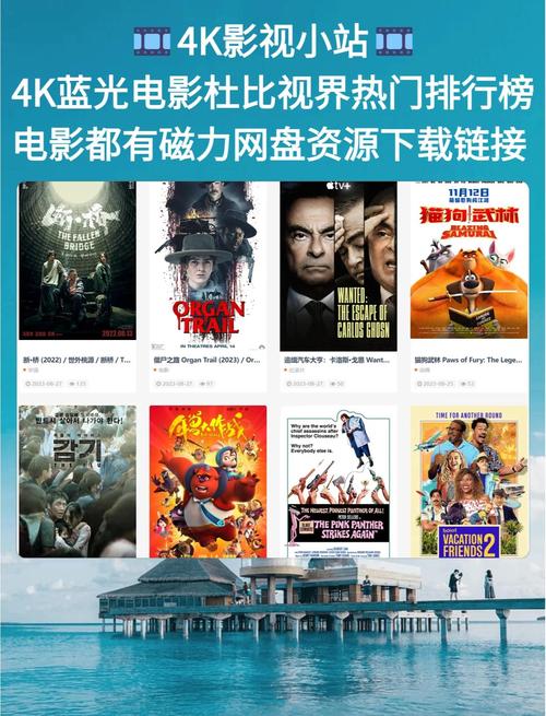 暖暖影院的相关介绍