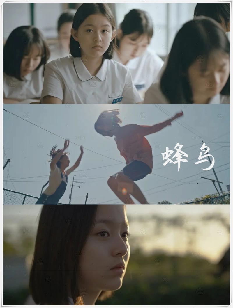 神马午夜影院达达兔的相关介绍