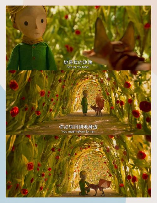 看成人看的毛片的相关介绍